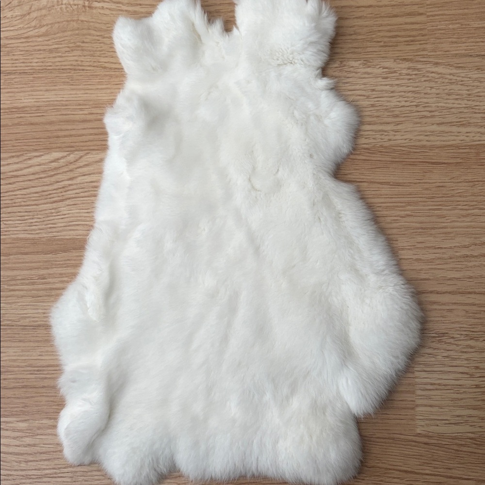 #105 White Rex rabbit hide  10 skins